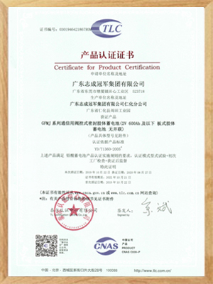 2020GFMJ系列(2V600AH及以下板式膠體蓄電池)泰爾證書